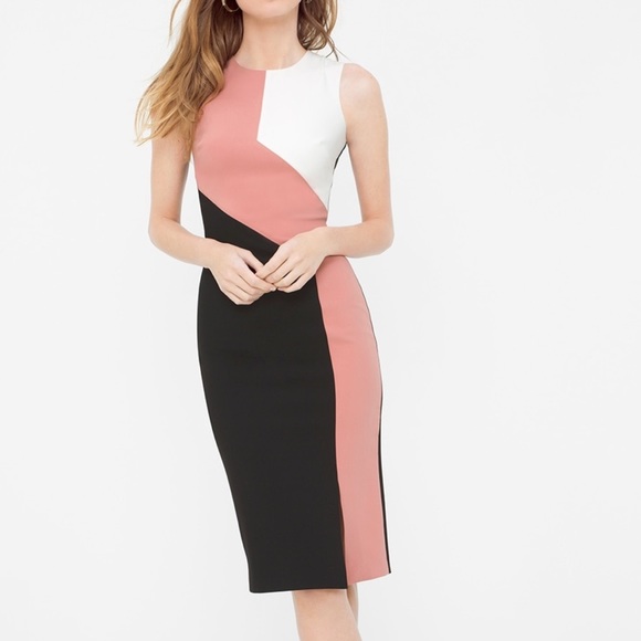 White House Black Market Dresses Petite 